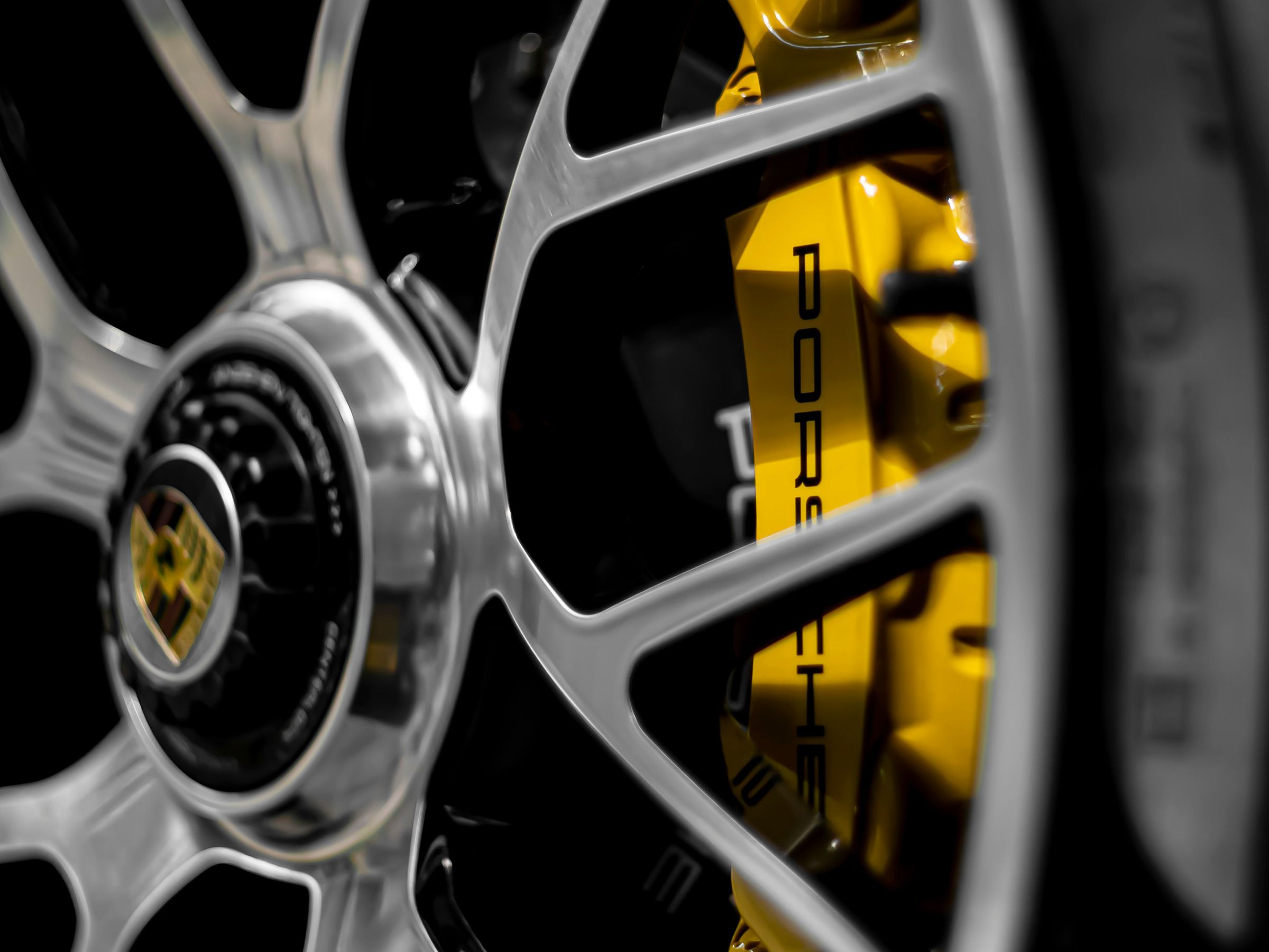 Header Image
